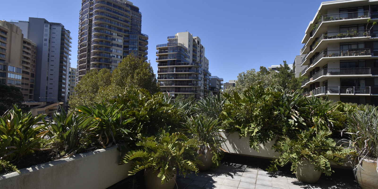 Suite 302 3 Waverley Street Bondi Junction