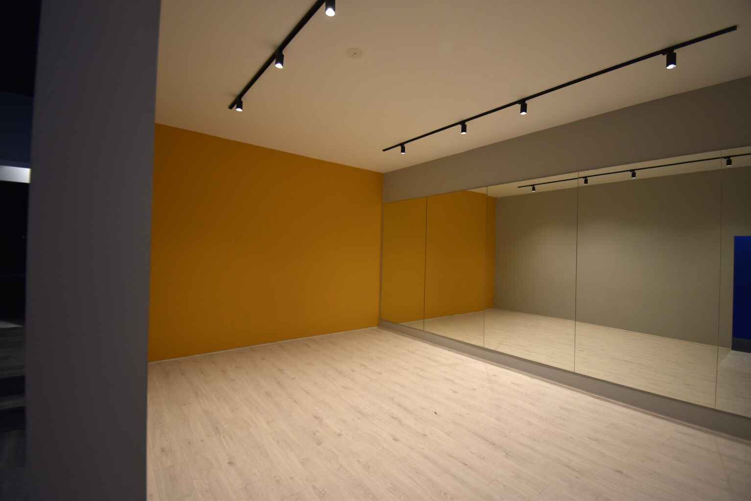 Shop 2 64 Bronte Road Bondi Junction