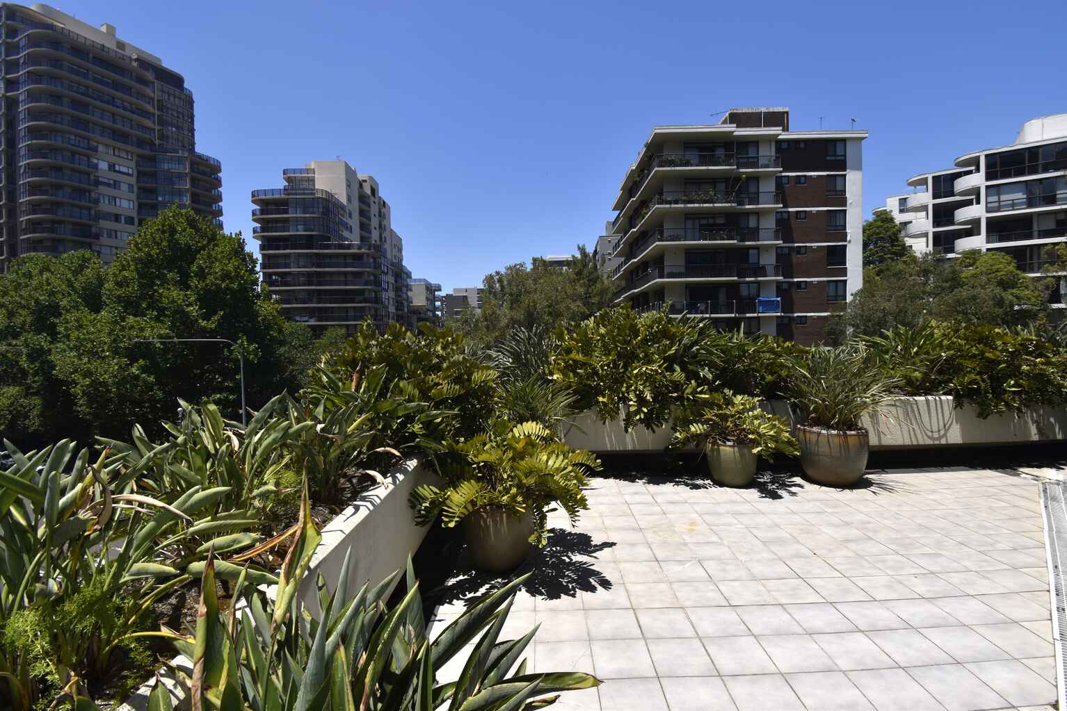 Suite 302 3 Waverley Street Bondi Junction